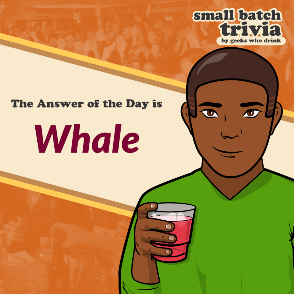 Small Batch Answer of the Day 2026-02-11: WHALE