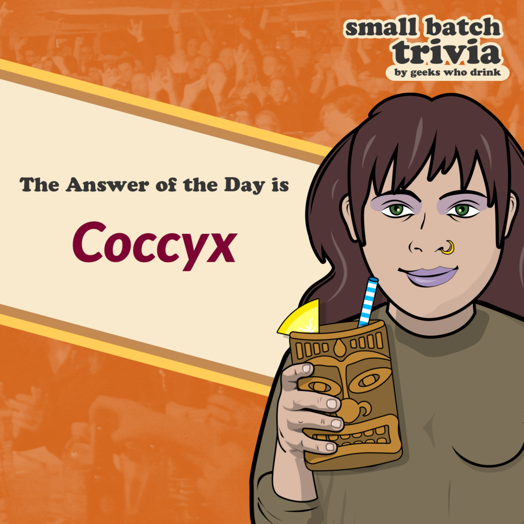 Small Batch Answer of the Day 2026-09-08: COCCYX